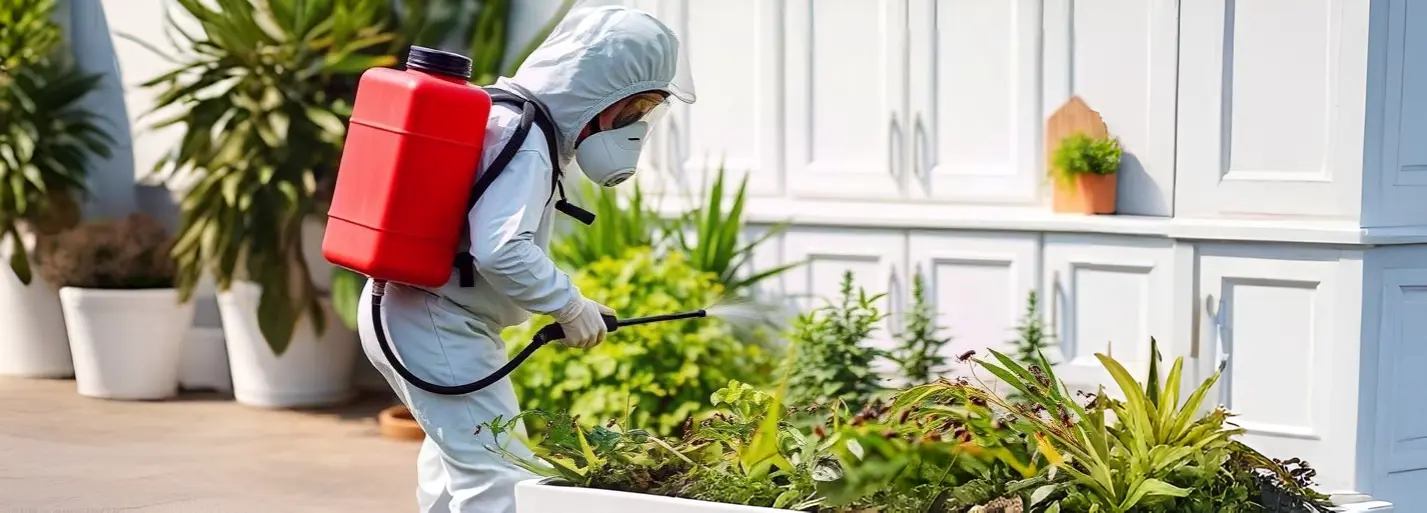 Steps to Remove Wasp Nests Safely and Prevent Future Infestations