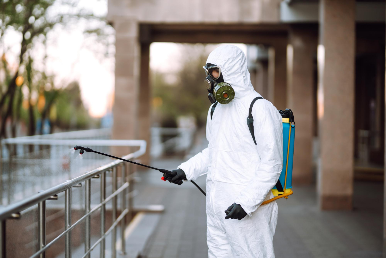 7 Essential Tips to Keep Your Home Pest-Free This Spring