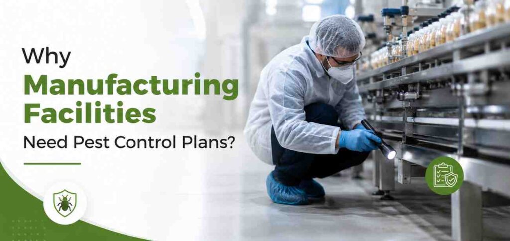 Why Manufacturing Facilities Need Pest Control Plans