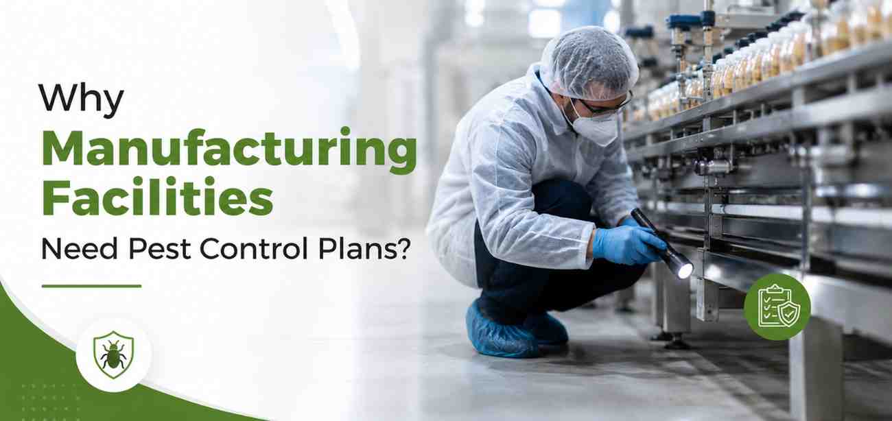 Why Manufacturing Facilities Need Pest Control Plans?