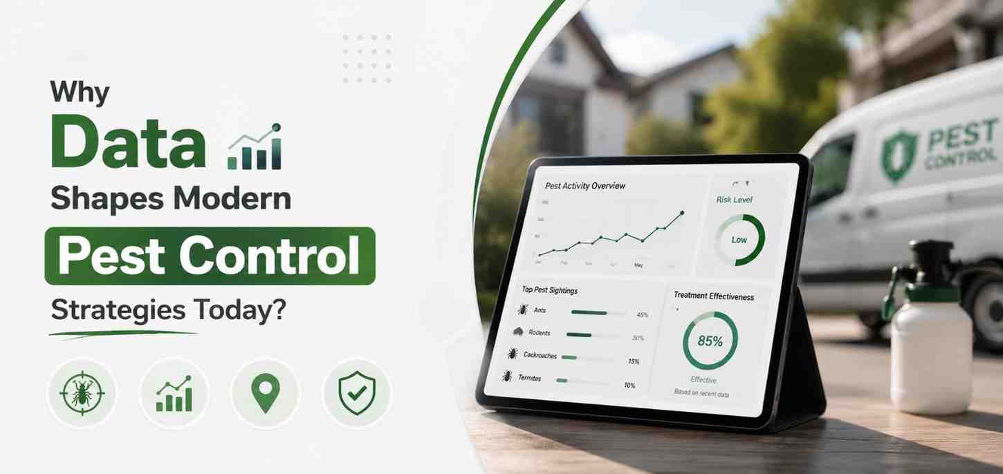 Why Data Shapes Modern Pest Control Strategies Today?