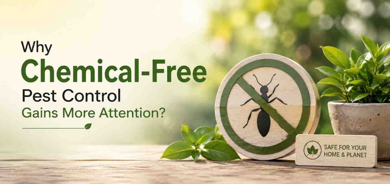 Why Chemical-Free Pest Control Gains More Attention?
